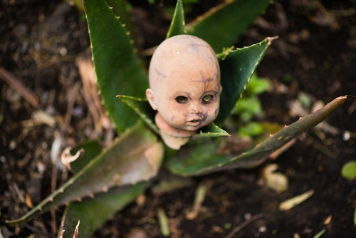 Du khách kéo nhau tới Mexico để xem đảo Búp bê rùng rợn như Annabelle - 6