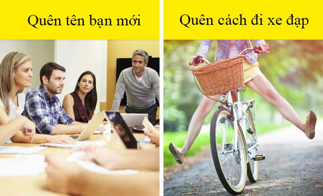 11 dấu hiệu cho thấy bạn đang mắc chứng bệnh suy giảm trí nhớ - 11