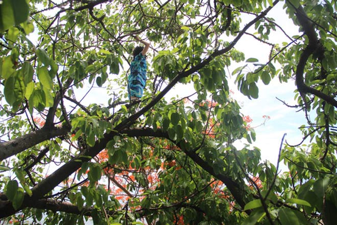 Nghẹt thở giải cứu cô gái bên bờ vực - 1