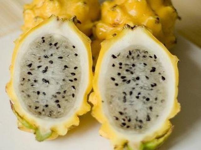 Thị trường - Tiêu dùng - Thanh long vàng "hiếm có khó tìm", cung không đủ cầu vì được quảng cáo tốt cho sức khỏe