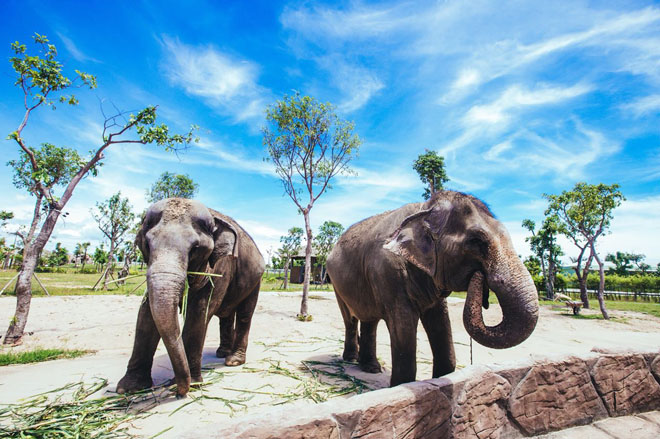 Ghé Đà Nẵng - Hội An, nhất định phải đến thiên đường giải trí này - 5