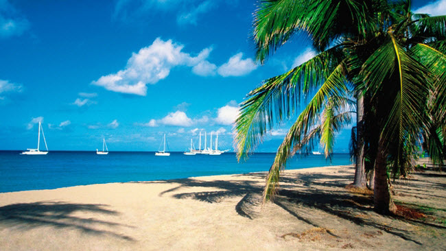 Pinney&#39;s Beach, Nevis: Bãi biển là một thiên đường trước biển với vẻ đẹp khiến nhiều người khó tin nếu không tận mắt chiêm ngưỡng.