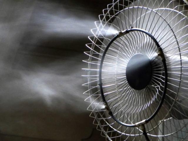 Sức khỏe đời sống - 9 kẻ thù muỗi ghét cay ghét đắng