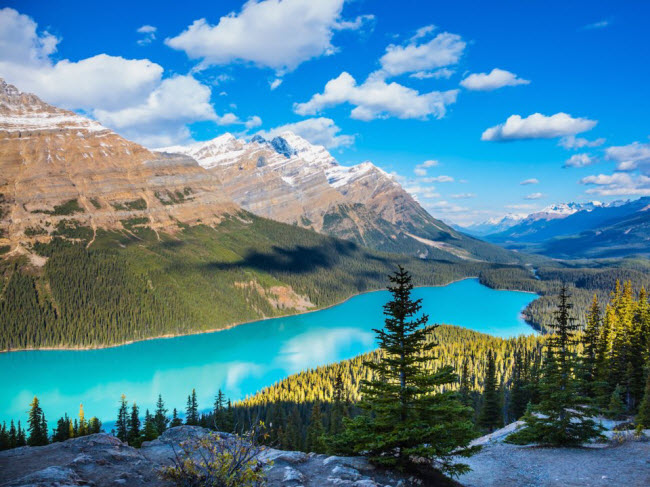 Hồ Peyto, Canada: Hồ Peyto gây ấn tượng với màu nước xanh như ngọc, được tạo ra bởi các khoáng chất sói mòn từ trên núi đá.