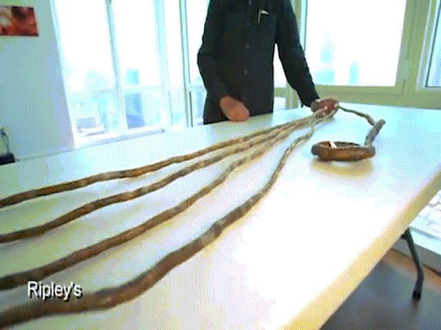 Phi thường - kỳ quặc - Người đàn ông móng tay dài nhất thế giới cắt bỏ "báu vật" sau 66 năm