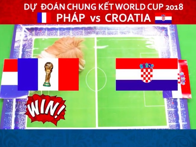 Clip: Chó “tiên tri” đồng loạt dự đoán Pháp vô địch World Cup 2018