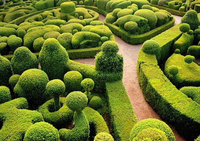 2.Vườn Marqueyssac, Dordogne

Vườn Marqueyssac nổi tiếng tạo nên một trong những cảnh quan tuyệt đẹp nhất ở Pháp và thế giới. 150.000 cây gỗ hoàng dương và hàng rào được thiết kế giống như một mê cung bí ẩn.