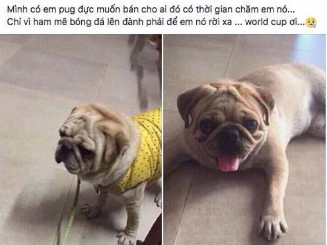 Bạn trẻ - Cuộc sống - Cười ra nước mắt với tổng kết của dân mạng bị "thua độ" sau trận chung kết World Cup