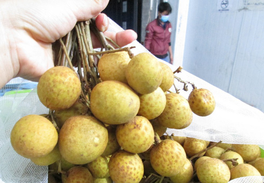 98% nhãn Việt Nam xuất khẩu là bán cho Trung Quốc - 1