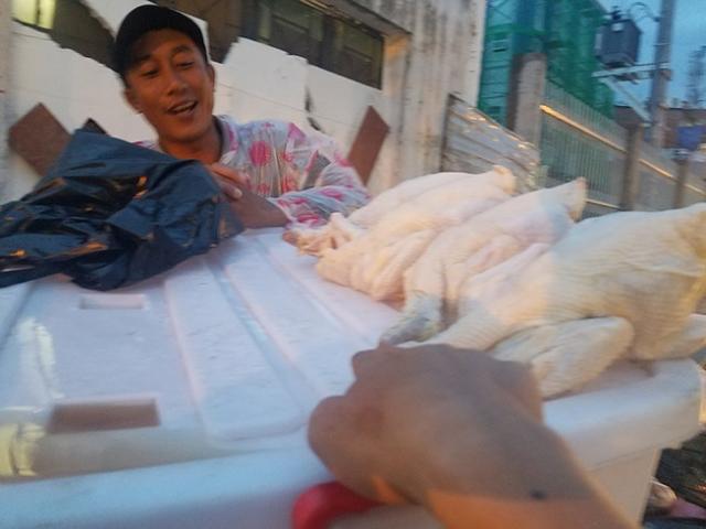 Thị trường - Tiêu dùng - ‘Giải mã’ gà không đầu siêu rẻ tại Việt Nam