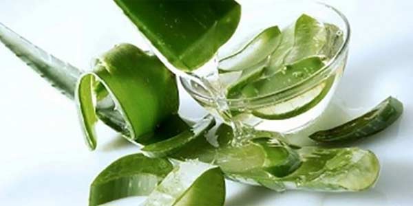 Chà khoai tây lên mặt mỗi tối trước khi ngủ và điều kỳ diệu xảy ra - 2