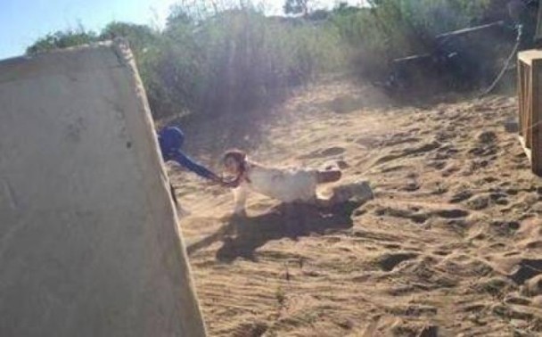 Mỹ nhân Triệu Lệ Dĩnh công bố lý do ở ẩn, rời showbiz khi mới 31 tuổi - 2