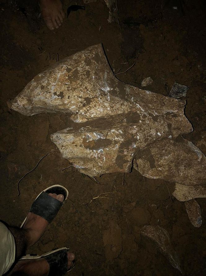 Những lần tìm thấy 'kho báu vàng' của nhà ngoại cảm tự phong - 2