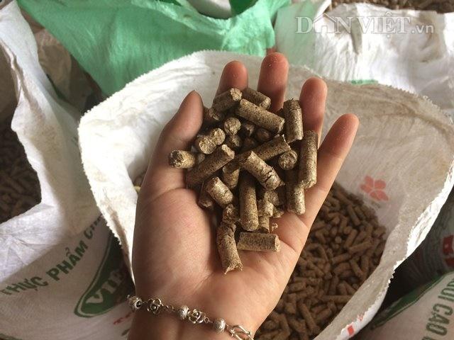 Thị trường - Tiêu dùng - 8x thu lãi 600 triệu đồng/năm nhờ tái sử dụng phế phẩm