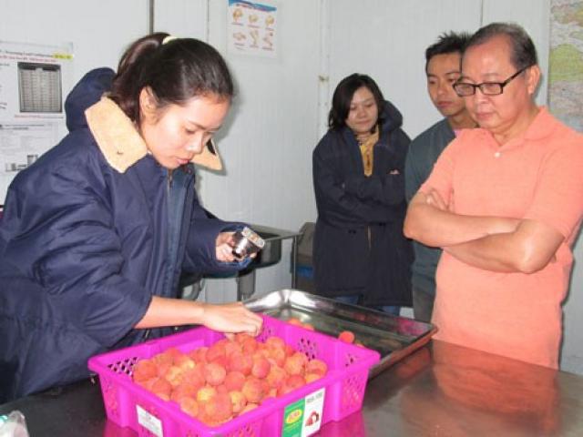 Thị trường - Tiêu dùng - Áp lực từ cuộc chiến thương mại Mỹ - Trung (*): Nông sản Việt sẽ ra sao?