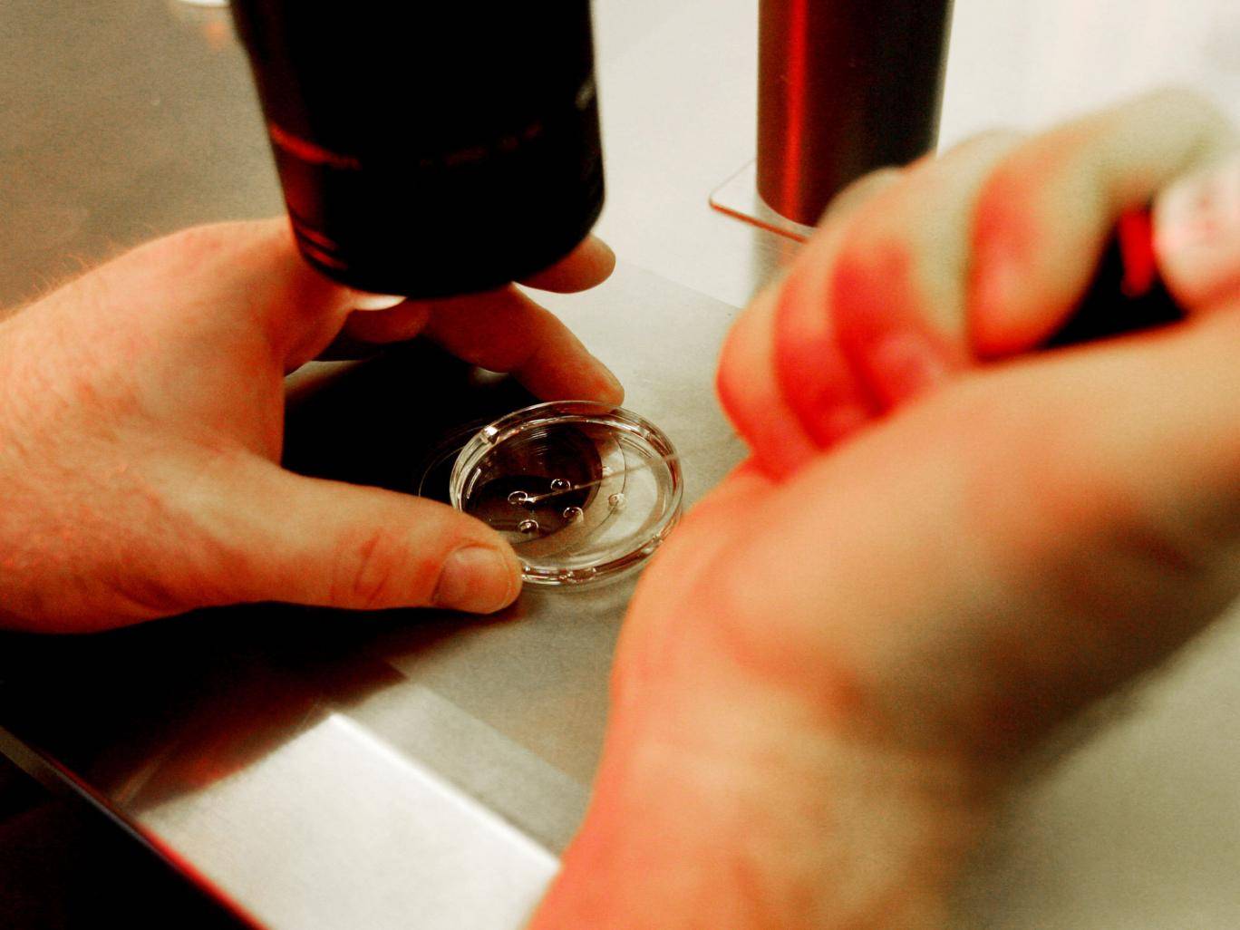 Nhiều bác sĩ chữa hiếm muộn bị kiện vì đánh tráo tinh trùng - 2