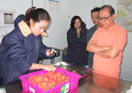 Áp lực từ cuộc chiến thương mại Mỹ - Trung (*): Nông sản Việt sẽ ra sao? - 1