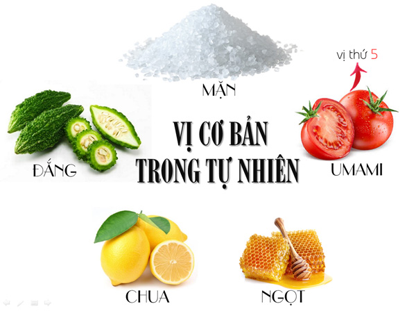 Umami – vị cơ bản thứ năm xuất hiện trong hầu hết thực phẩm - 1
