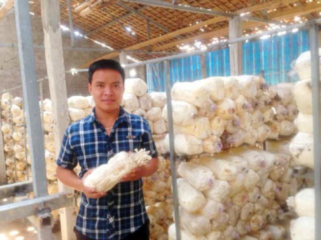 Thị trường - Tiêu dùng - Cử nhân bỏ phố về quê, vay 1 tỷ trồng nấm, đút túi chục triệu/tháng