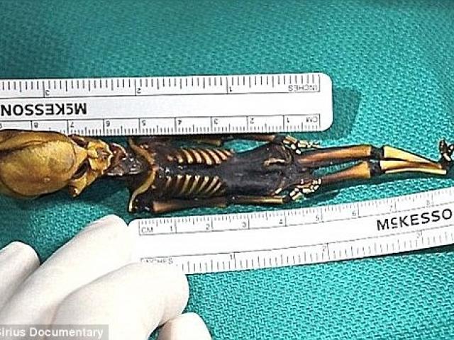 Thế giới - Lại tranh cãi về "xác ướp người ngoài hành tinh" tí hon ở Chile