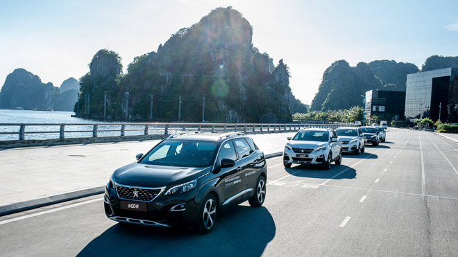 Peugeot chiếm ưu thế trong nhóm SUV/CUV nhập từ châu Âu tại Việt Nam - 1