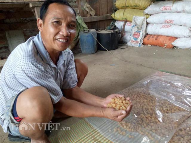 Thị trường - Tiêu dùng - Bán với giá cả trăm nghìn/kg nhờ biến "bạch ngọc" thành long nhãn