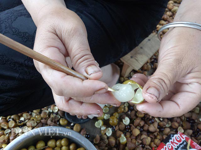 Bán với giá cả trăm nghìn/kg nhờ biến &#34;bạch ngọc&#34; thành long nhãn - 3