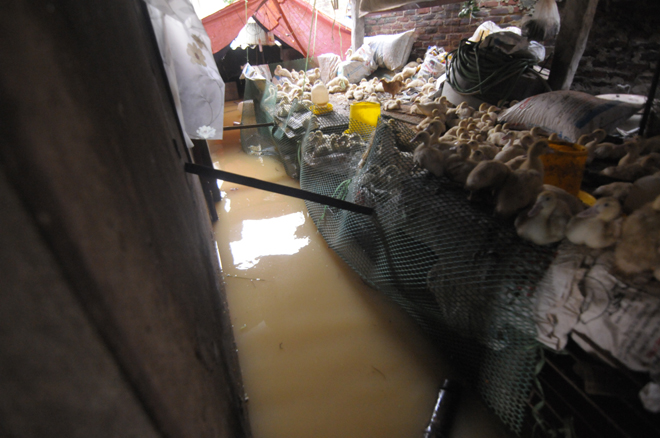 Ngập lụt ở Hà Nội: Cả nhà phải lên thuyền sống - 9