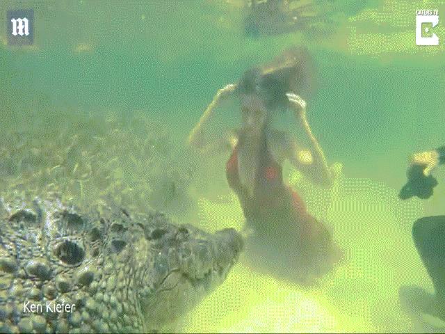 Thế giới - Cảnh người mẫu xinh đẹp bơi cùng cá sấu khổng lồ, vừa đẹp vừa ghê rợn