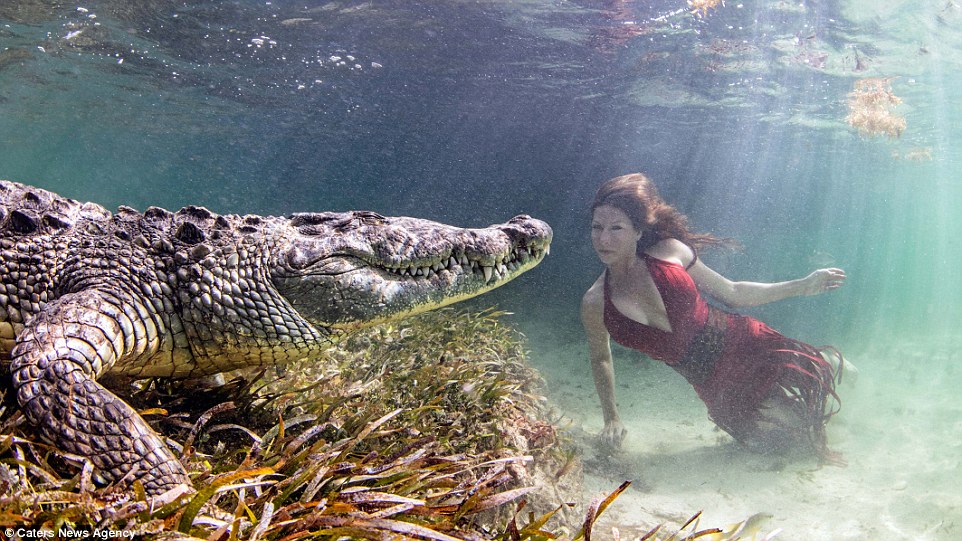 Cảnh người mẫu xinh đẹp bơi cùng cá sấu khổng lồ, vừa đẹp vừa ghê rợn - 1