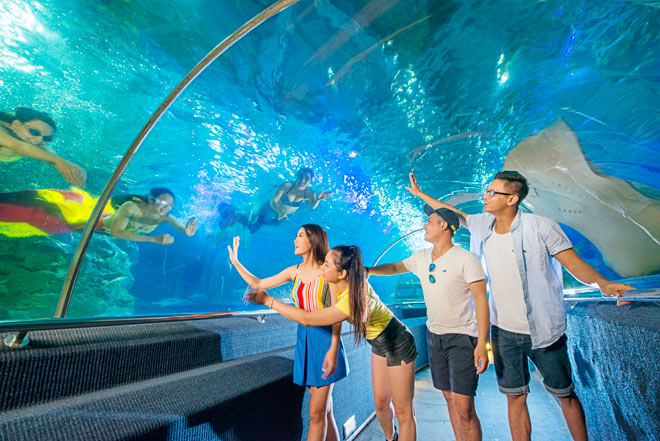 Những kỷ lục độc nhất vô nhị tại thiên đường giải trí lớn nhất Nha Trang - 10