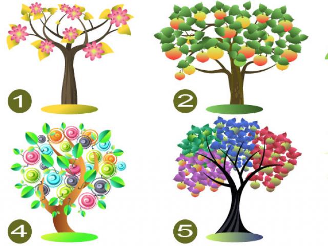 Bạn trẻ - Cuộc sống - Giải mã bản thân qua cách lựa chọn cái cây yêu thích