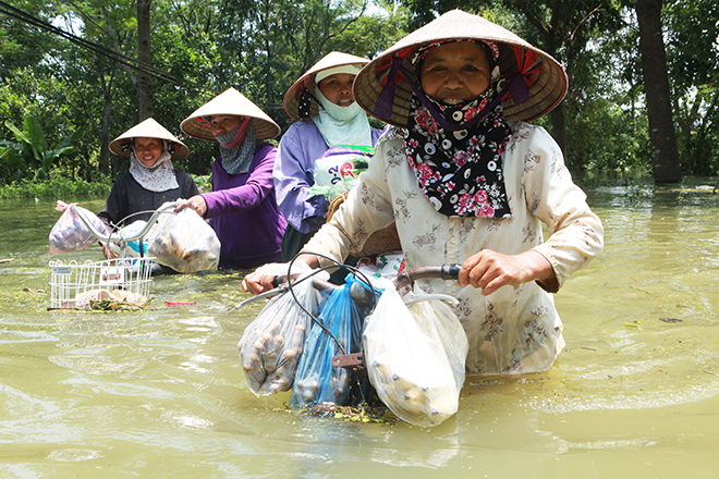 Cảnh khó tin ở Hà Nội: Tạnh mưa 3 ngày, nước vẫn ngập ngang người - 7