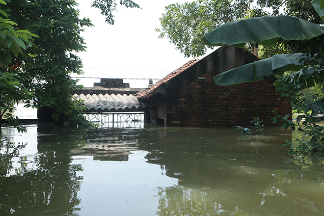 Hà Nội: Nước ngập ngấp nghé mái nhà, người dân sống cùng gà lợn - 2