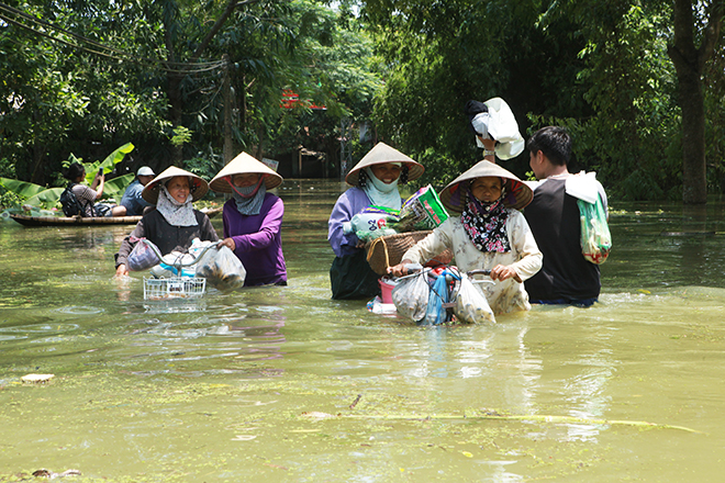 Hà Nội: Nước ngập ngấp nghé mái nhà, người dân sống cùng gà lợn - 4