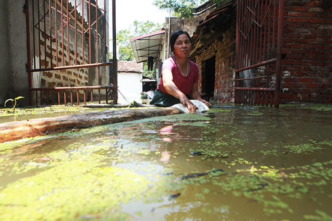Hà Nội: Nước ngập ngấp nghé mái nhà, người dân sống cùng gà lợn - 6
