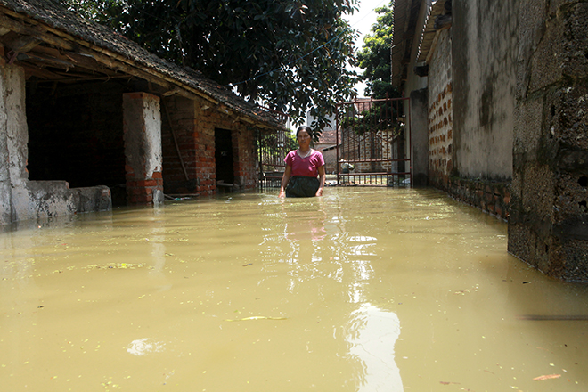 Hà Nội: Nước ngập ngấp nghé mái nhà, người dân sống cùng gà lợn - 5