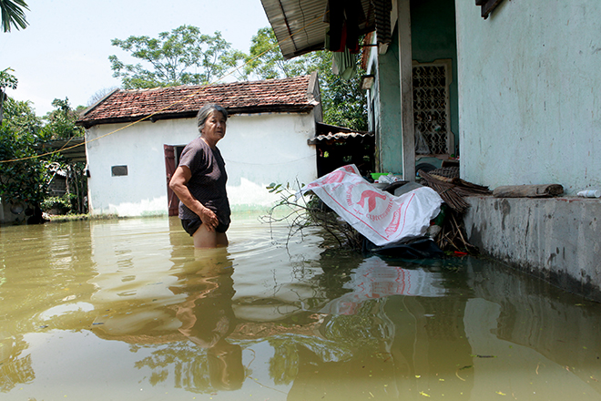 Hà Nội: Nước ngập ngấp nghé mái nhà, người dân sống cùng gà lợn - 7