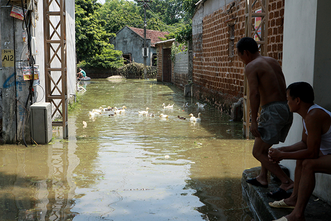 Hà Nội: Nước ngập ngấp nghé mái nhà, người dân sống cùng gà lợn - 8