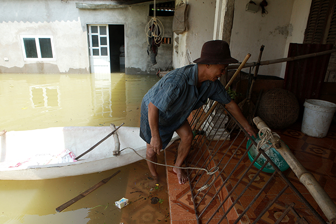 Hà Nội: Nước ngập ngấp nghé mái nhà, người dân sống cùng gà lợn - 14