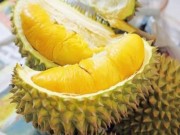 Thị trường - Tiêu dùng - Thái Lan "mượn" Việt Nam bán sầu riêng cho Trung Quốc?