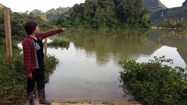 Sắp thu tiền tỷ từ vườn cam, sau 1 đêm bỗng trắng tay vì mưa lũ - 3