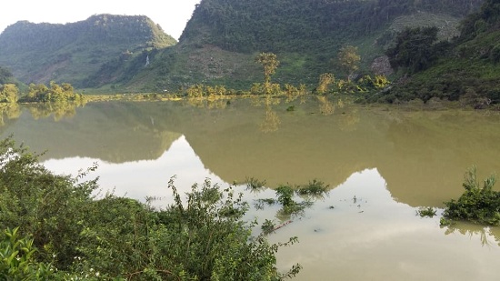 Sắp thu tiền tỷ từ vườn cam, sau 1 đêm bỗng trắng tay vì mưa lũ - 4