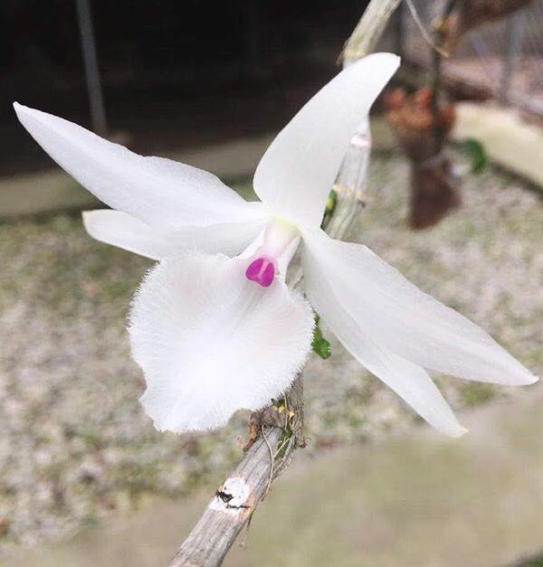 Nóng 24h qua: 2 phi công cùng máy bay Su-22 rơi trong lần bay thứ 3 - 4