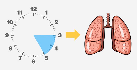 Thời điểm tỉnh giấc mỗi đêm tiết lộ bộ phận đang kêu cứu bên trong cơ thể - 4