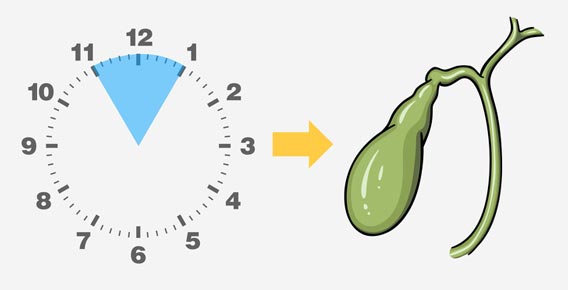 Thời điểm tỉnh giấc mỗi đêm tiết lộ bộ phận đang kêu cứu bên trong cơ thể - 2