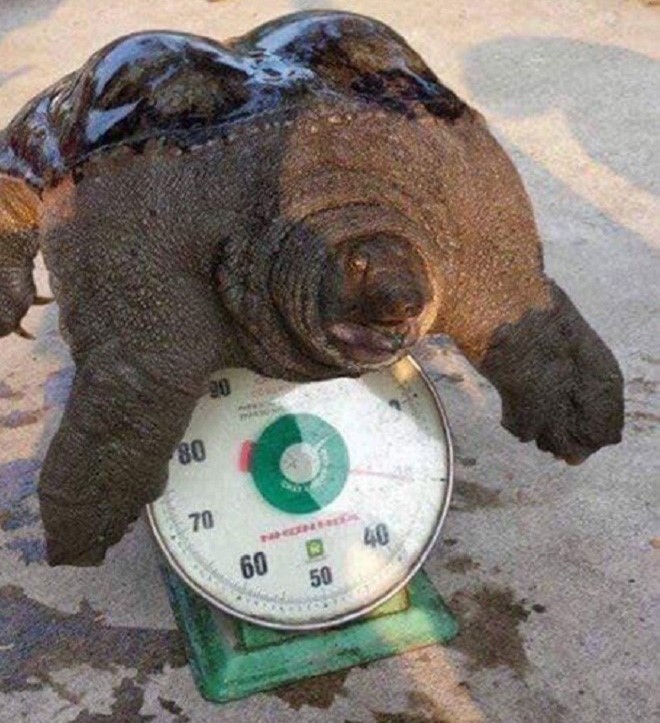 Nóng 24h qua: Sắp giải mã hộp đen của máy bay Su-22U rơi tại Nghệ An - 3