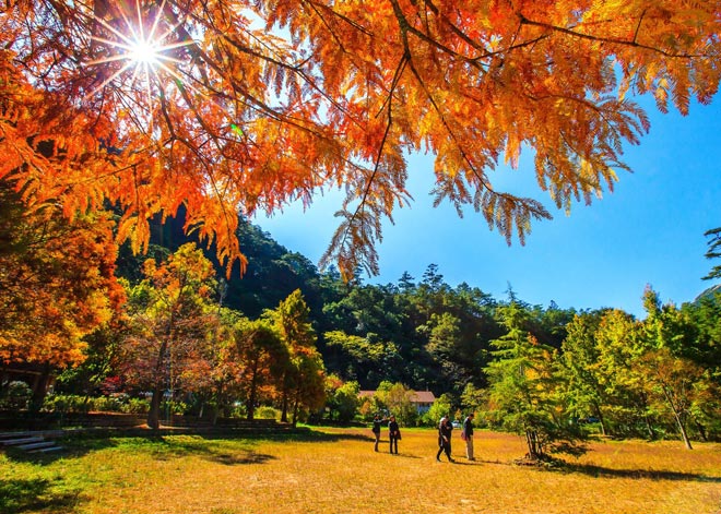 Đài Loan tháng 10, 11, 12 – Thời điểm du lịch “hời” nhất trong năm - 1