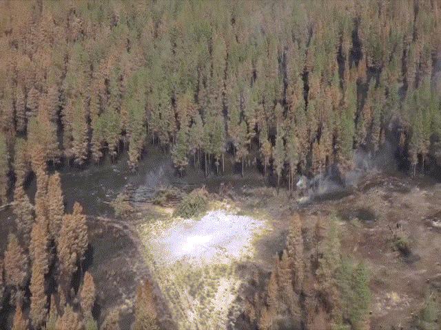 Thế giới - Lý do Thụy Điển dội bom chục ngàn USD vào đám cháy rừng