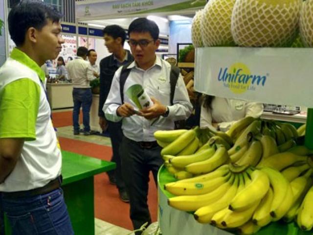 Thị trường - Tiêu dùng - Chuối Đồng Nai lại rớt giá